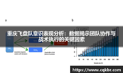 重庆飞盘队意识表现分析：数据揭示团队协作与战术执行的关键因素
